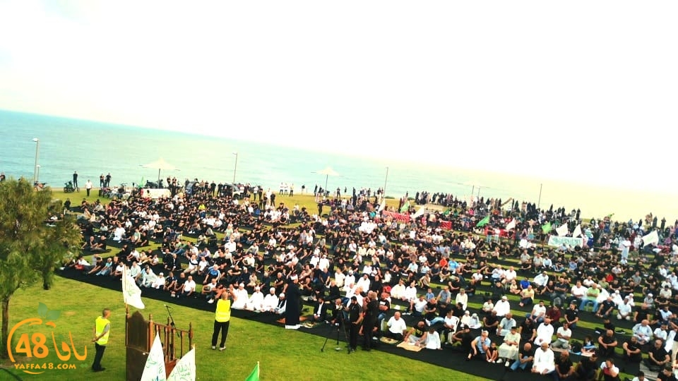 WhatsApp Image 2023-06-28 at 11.33.55 AM (1).jpeg